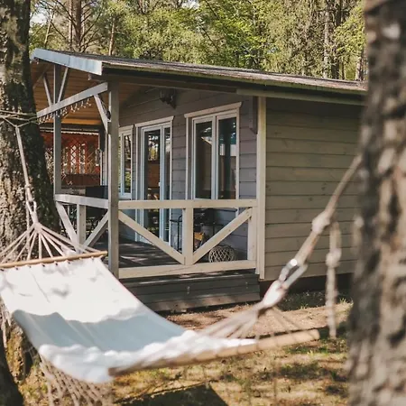 Szary וגורזבו